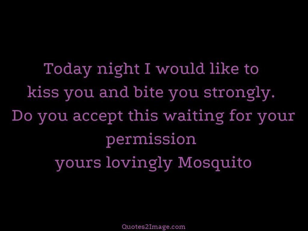 Lovingly Mosquito