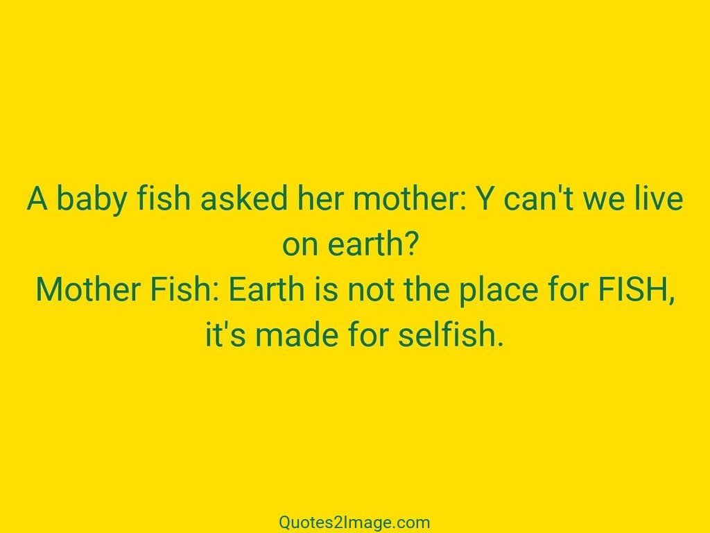 A baby fish asked