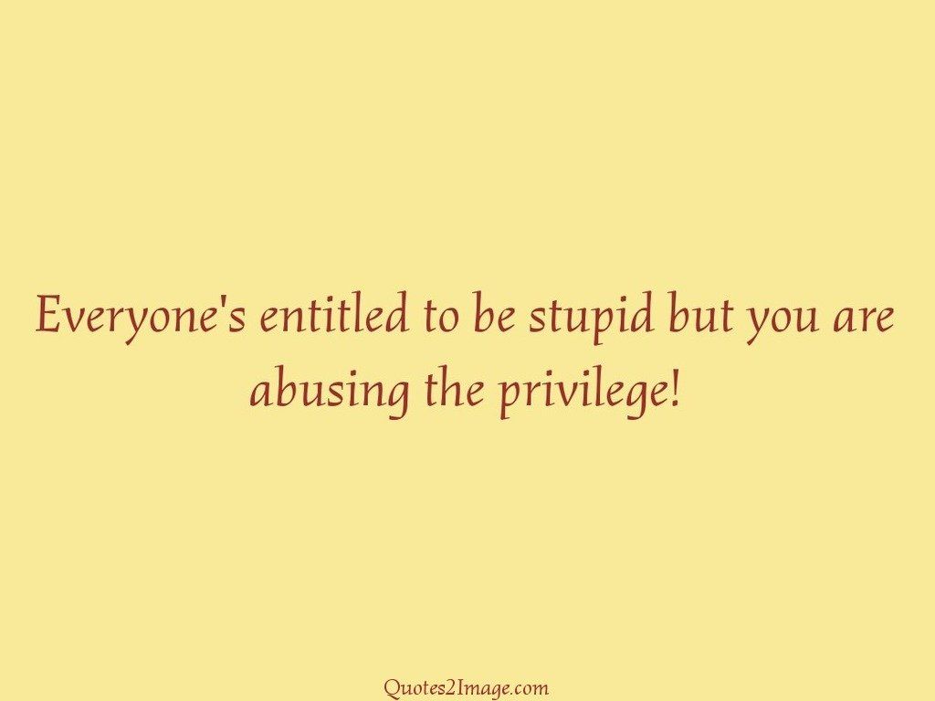 Everyones entitled to be stupid