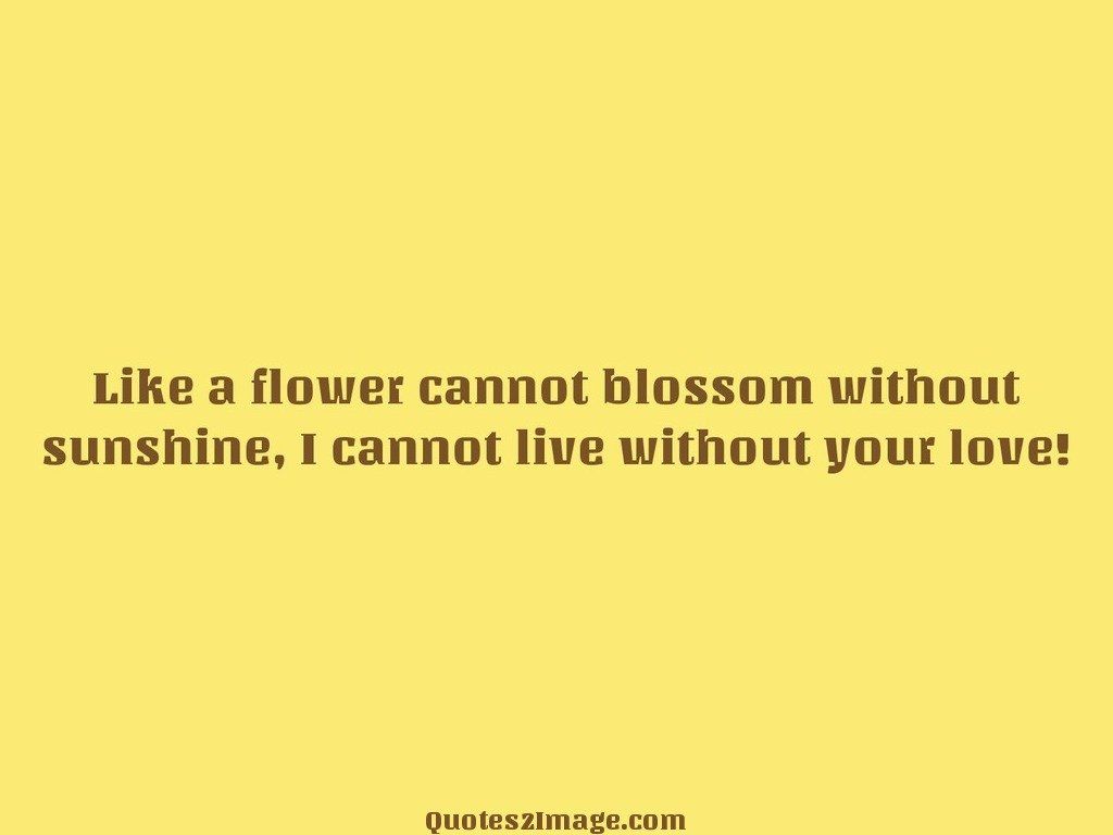 Like a flower cannot blossom